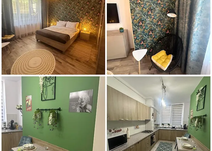 NewLevel Studio Brasov
